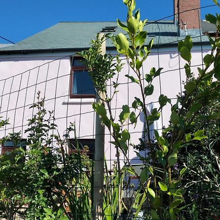 Clearview Cottage Сейнт Остел Екстериор снимка