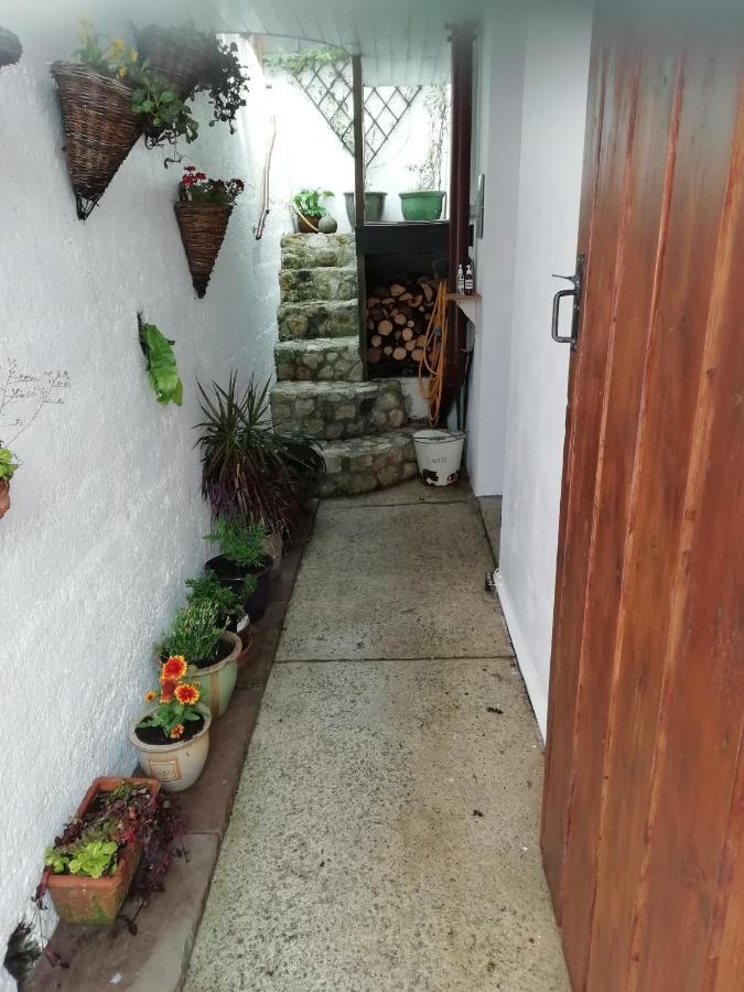 Clearview Cottage Сейнт Остел Екстериор снимка