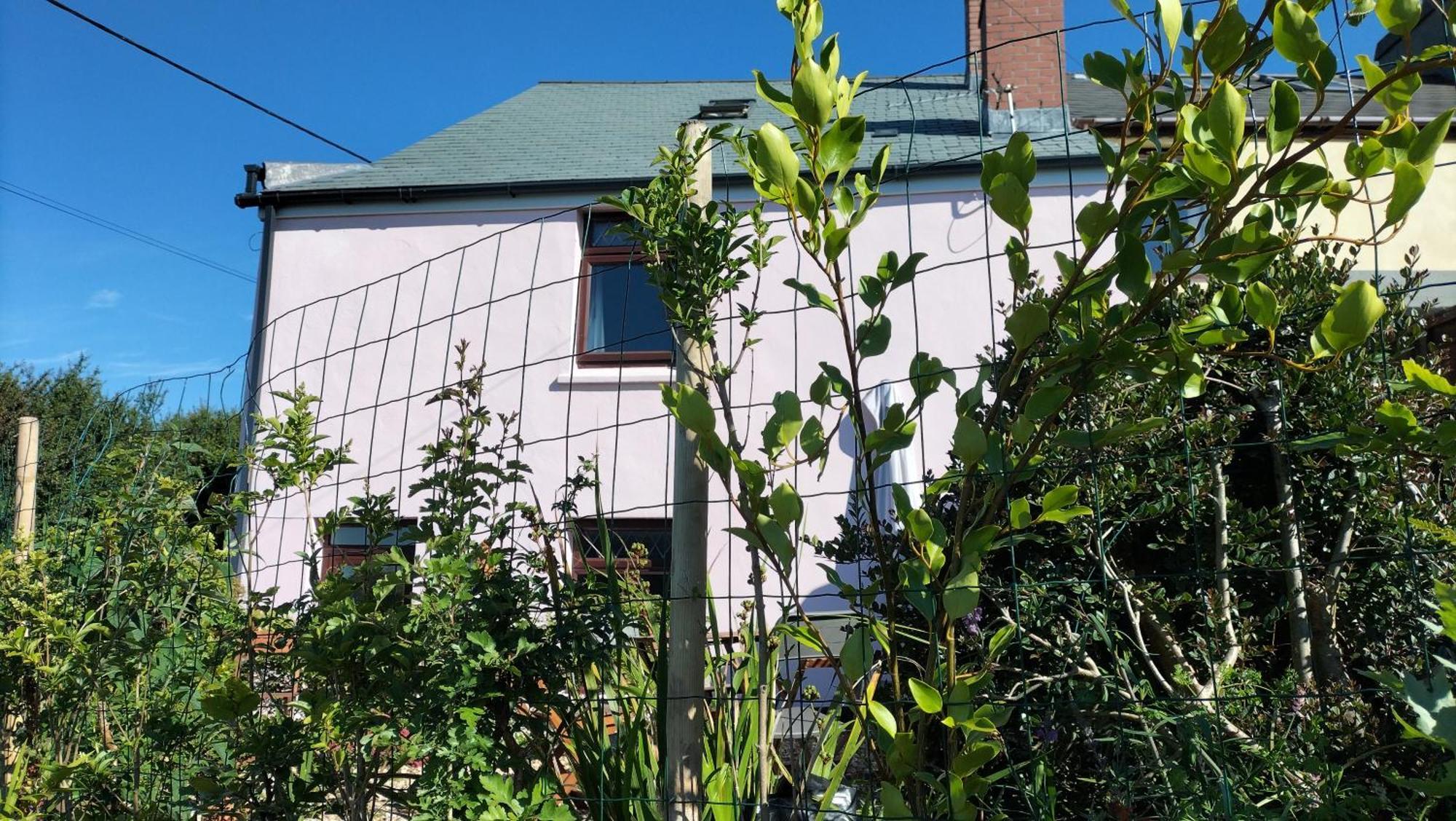 Clearview Cottage Сейнт Остел Екстериор снимка